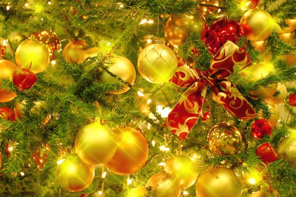 きものdeクリスマスパーティー&北総の小江戸佐原散策